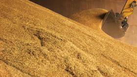 Экспортную пошлину на пшеницу в РФ увеличат в полтора раза